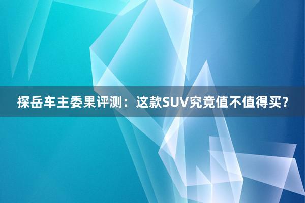 探岳车主委果评测：这款SUV究竟值不值得买？